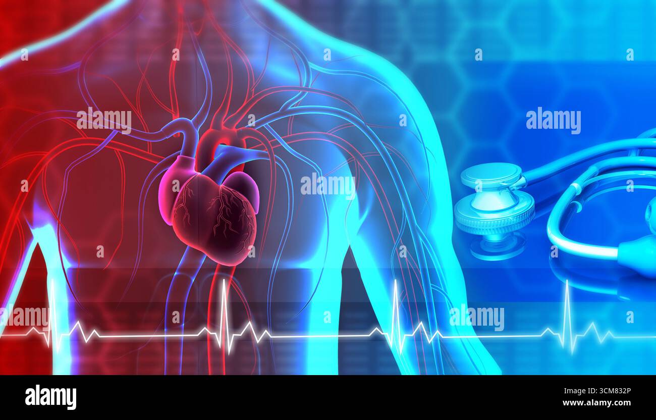 Cuore in corpo umano trasparente con background medico. illustrazione 3d. Foto Stock