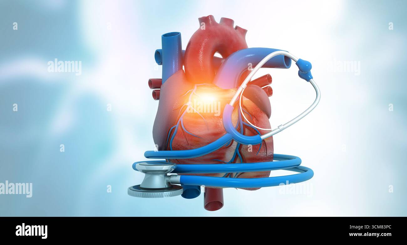 Cuore umano con stetoscopio su sfondo bianco. Concetto di protezione e cura del cuore. illustrazione 3d. Foto Stock