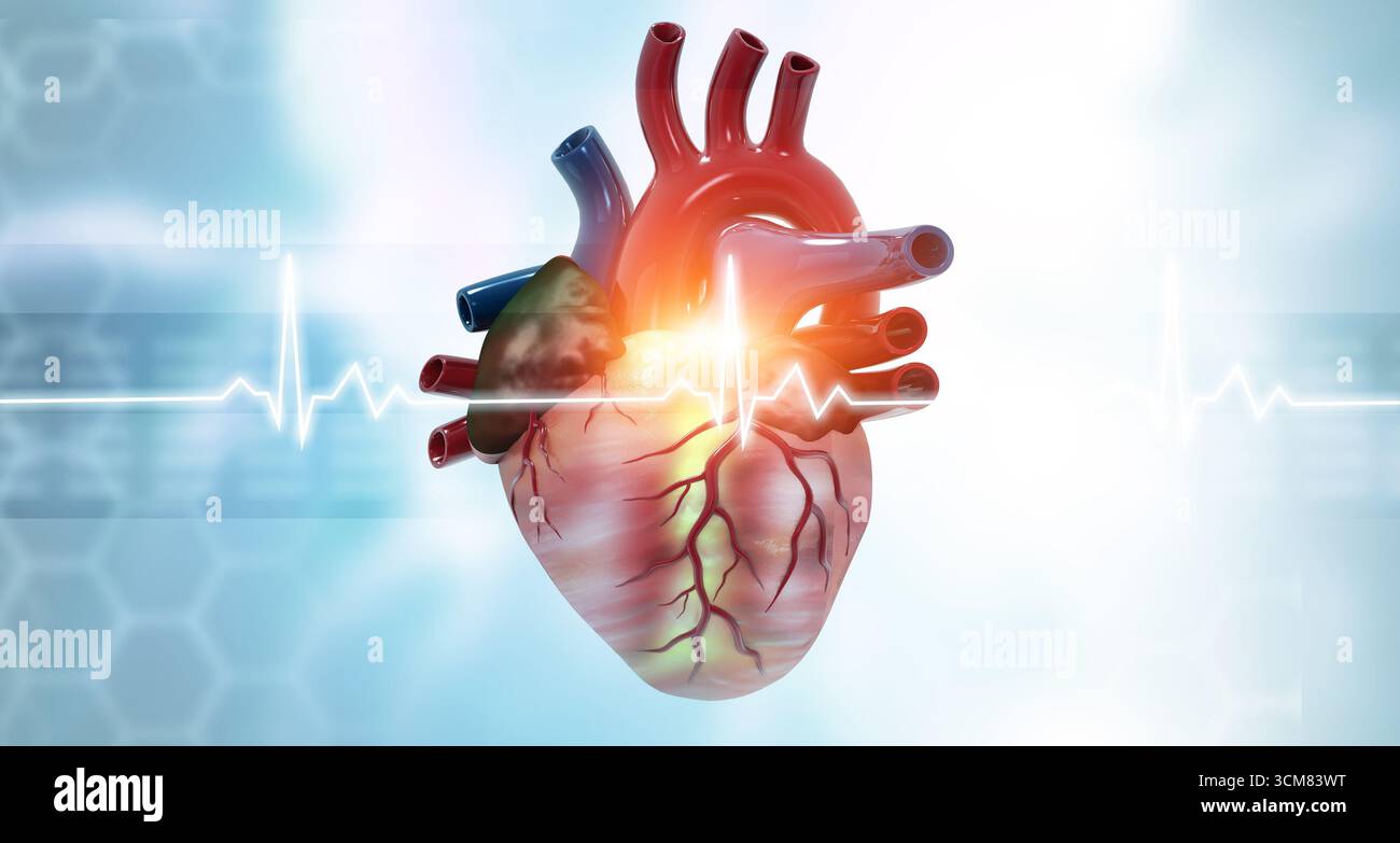 Anatomia del cuore umano su sfondo medico ecg. rendering 3d. Foto Stock