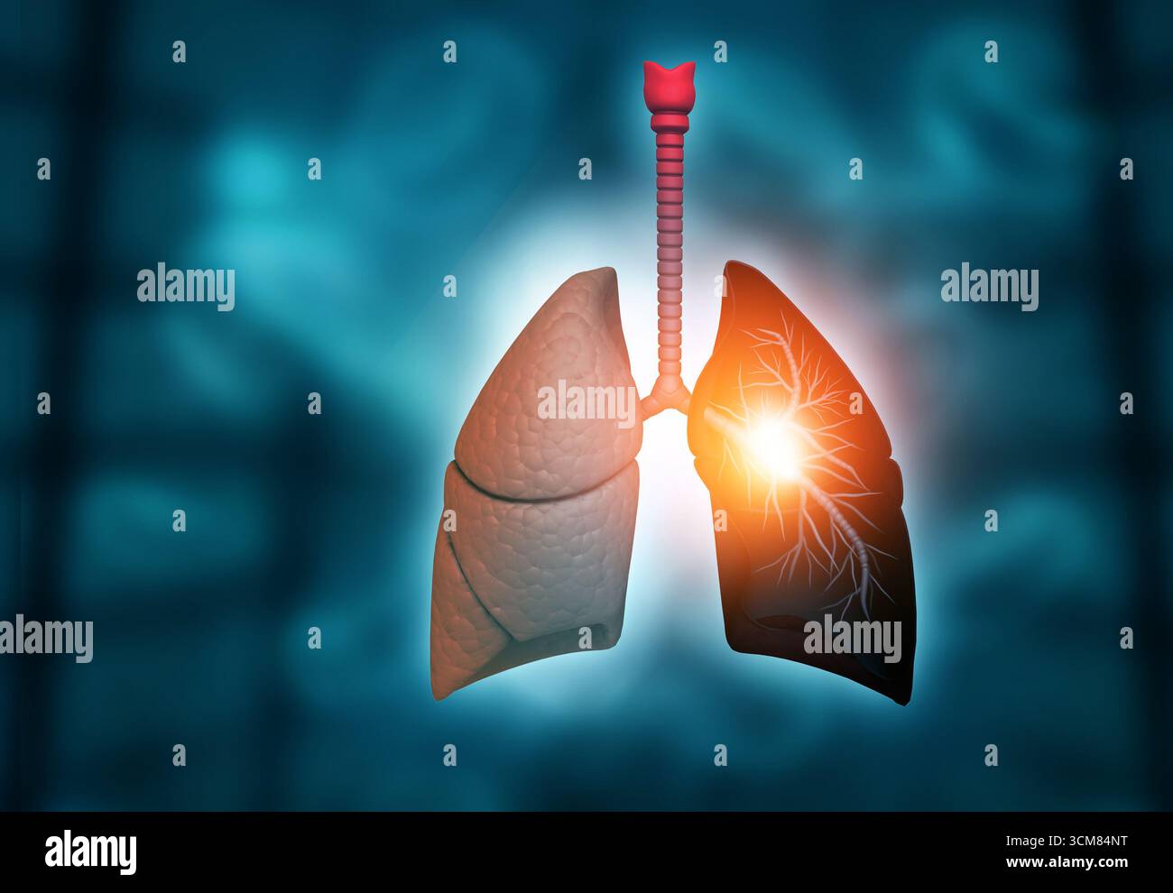Anatomia polmonare umana su sfondo scientifico. illustrazione 3d. Foto Stock