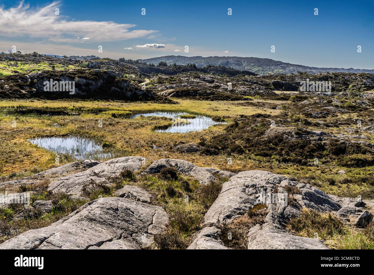 Tranquillo paesaggio caratterizzato da un tranquillo lago circondato da alberi, una piccola isola, una vegetazione vivace e un cielo blu limpido evidenziato da nuvole. Una perfec Foto Stock