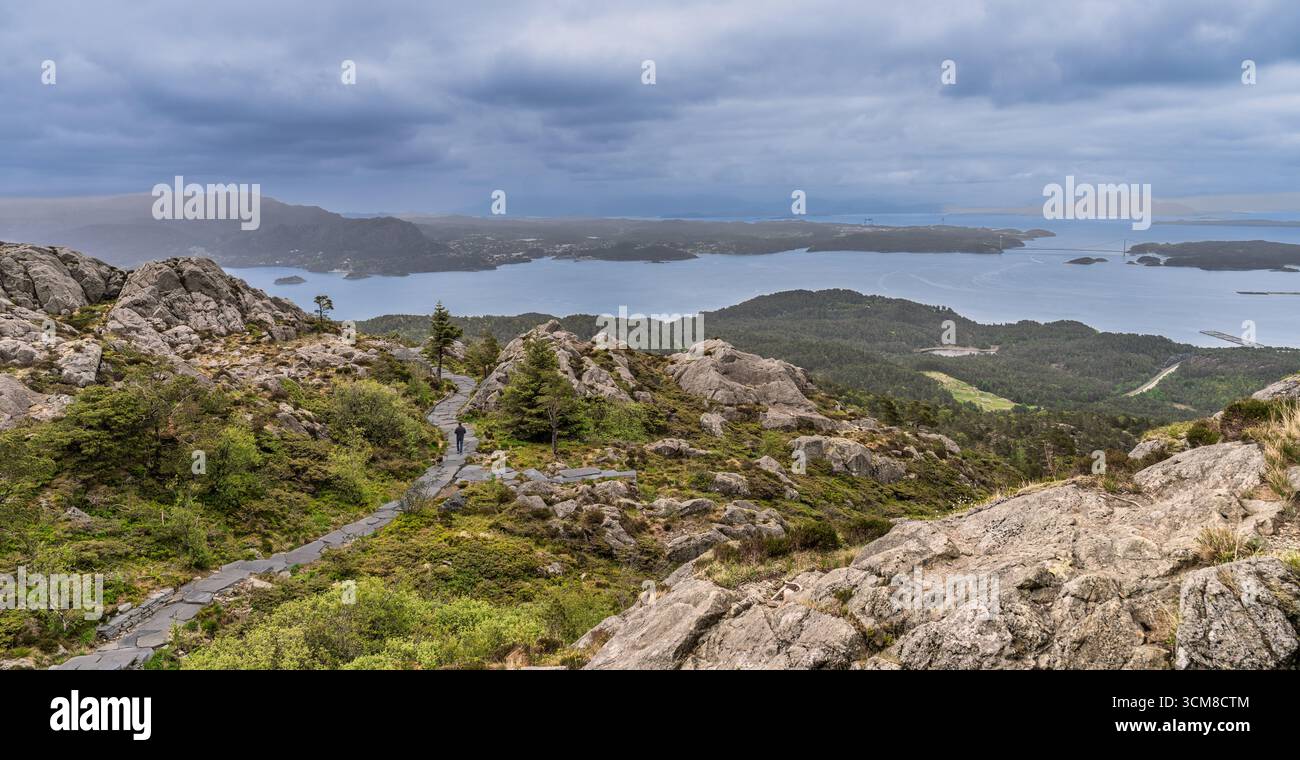 Una splendida foresta con un sentiero in pietra che si snoda tra fitti alberi e una vegetazione vibrante, creando un ambiente naturale tranquillo e sereno ideale per Foto Stock