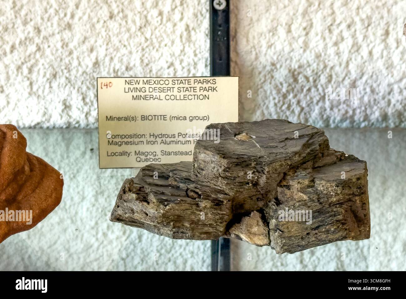 Assaggio di biotite nella collezione di minerali del Living Desert Zoo & Gardens State Park, Carlsbad, New Mexico. Foto Stock