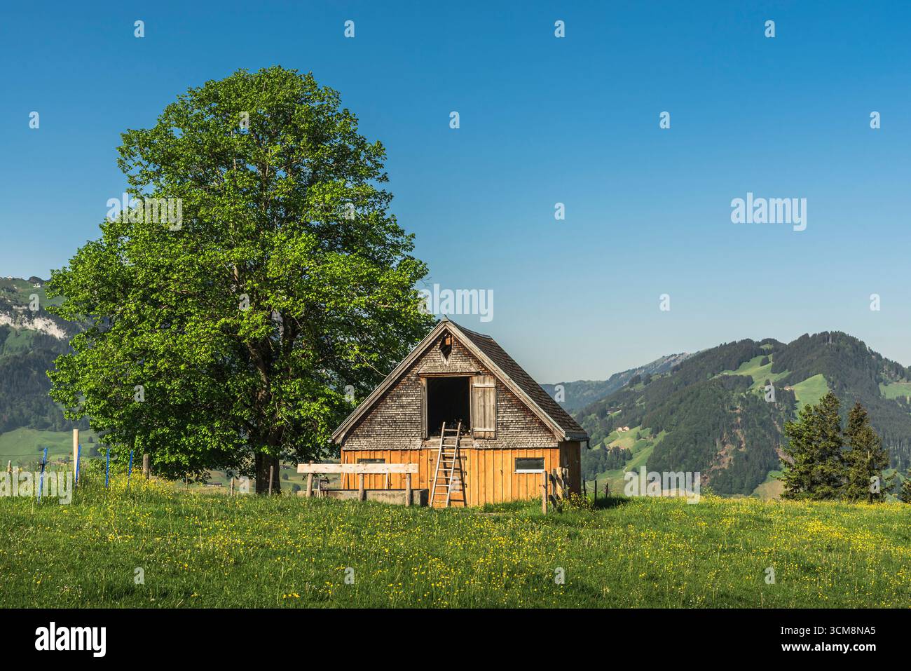 Capannone in legno nell'Appenzellerland, Canton Appenzell Innerrhoden, Svizzera Foto Stock