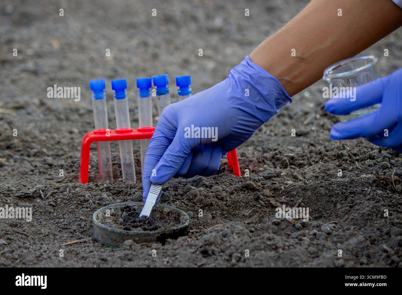Uno scienziato porta il terreno in una provetta per l'analisi. Messa a fuoco selettiva Foto Stock