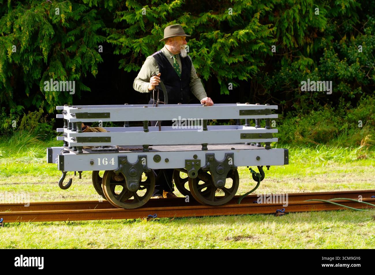 Carnog Working Horses, Abergnolwyn, Horse Drawn Slate Waggon Demonstration, tal Y Llyn, Foto Stock