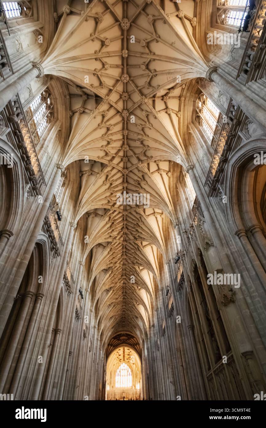 Inghilterra, Hampshire, Winchester, Cattedrale di Winchester, Vista interna del soffitto gotico Foto Stock