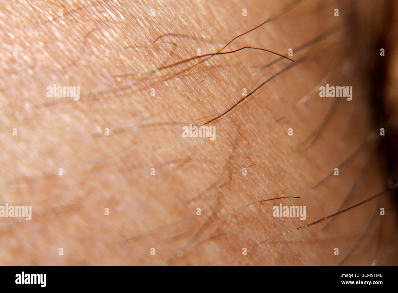 Un macro di dettagli sulla pelle maschile Foto Stock
