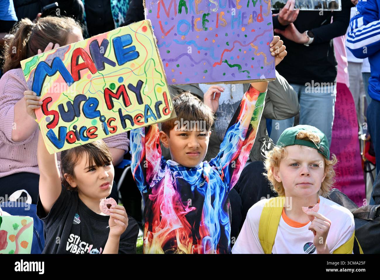Londra, Regno Unito. MANDATE Rally in Parliament Square. INVIARE la giornata d'azione per le famiglie colpite, organizzata dal partenariato dei bambini disabili e i gruppi genitori INVIARE Sanctuary e LetusLearn2. Crediti: michael melia/Alamy Live News Foto Stock