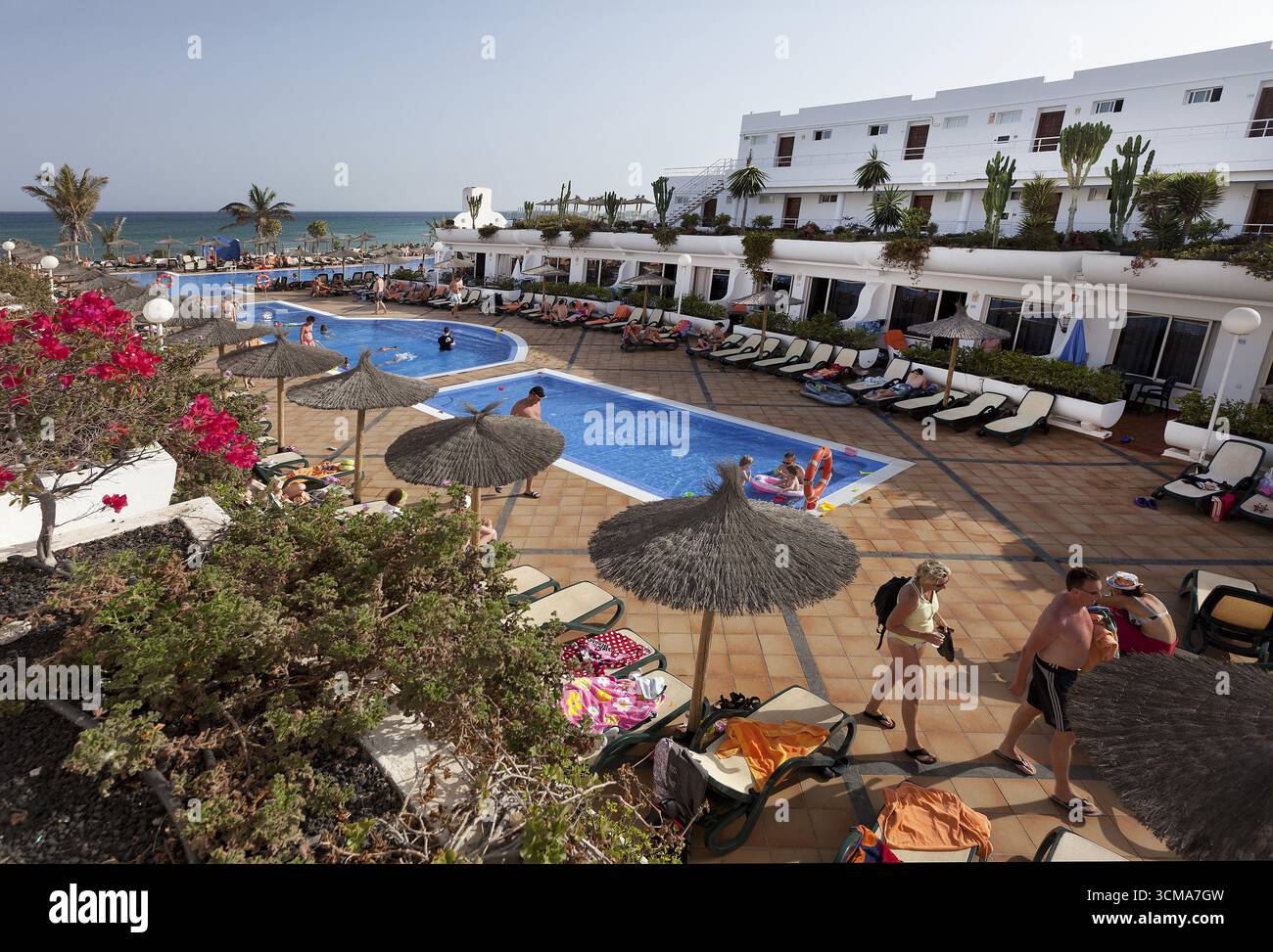 Bougainvillea, Bougainvillea, Bougainvillea glabra, Bougainvillea spectabilis.piante da arrampicata, piantagione di hotel, piantagione di balconi, piscina dell'hotel, piscina Foto Stock
