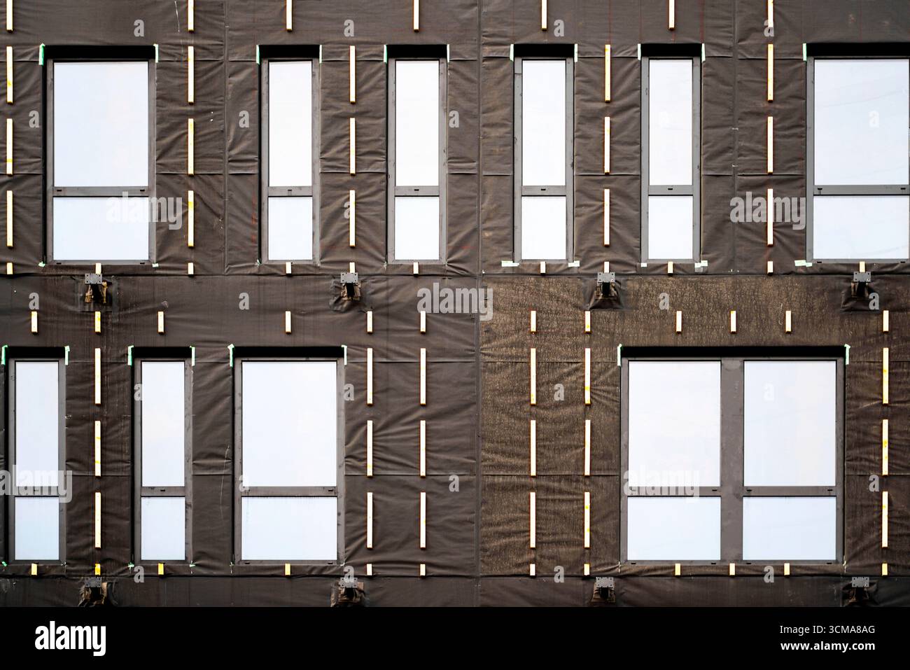 Geometria della crescita: Costruzione in transizione. Una facciata di un edificio per uffici in costruzione a Grenoble, Francia, mostra finestre incorniciate da supporti in legno e ricoperte da pellicola protettiva, catturando lo stadio temporaneo tra la struttura e il completamento. Foto Stock