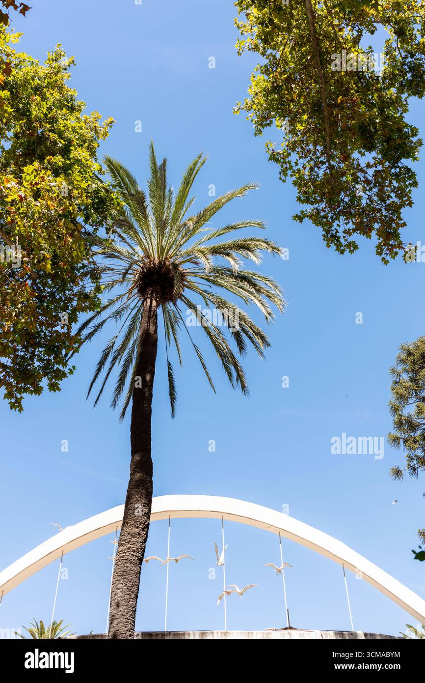 Malaga, Andalusia, Spagna. 4 settembre 2025. Palme e arco con sculture di gabbiano Foto Stock