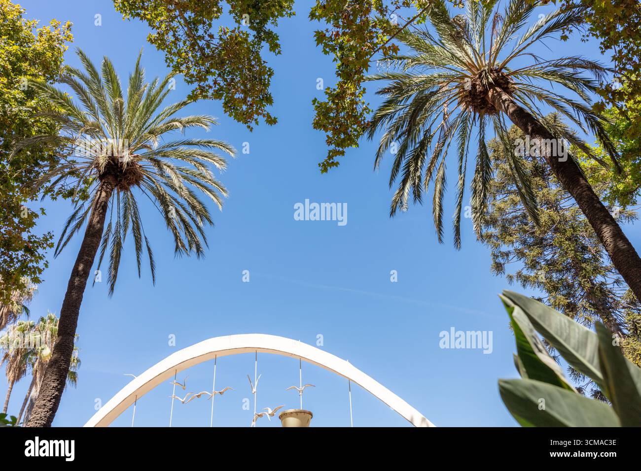 Malaga, Andalusia, Spagna. 4 settembre 2025. Palme e arco con sculture di gabbiano Foto Stock
