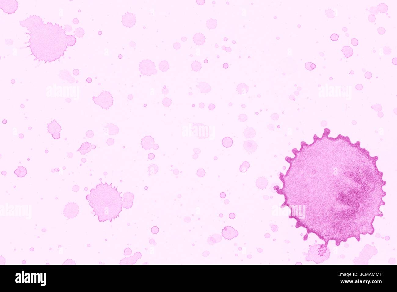 sfondo artistico astratto: primo piano di macchie di colore rosa su sfondo rosa chiaro Foto Stock