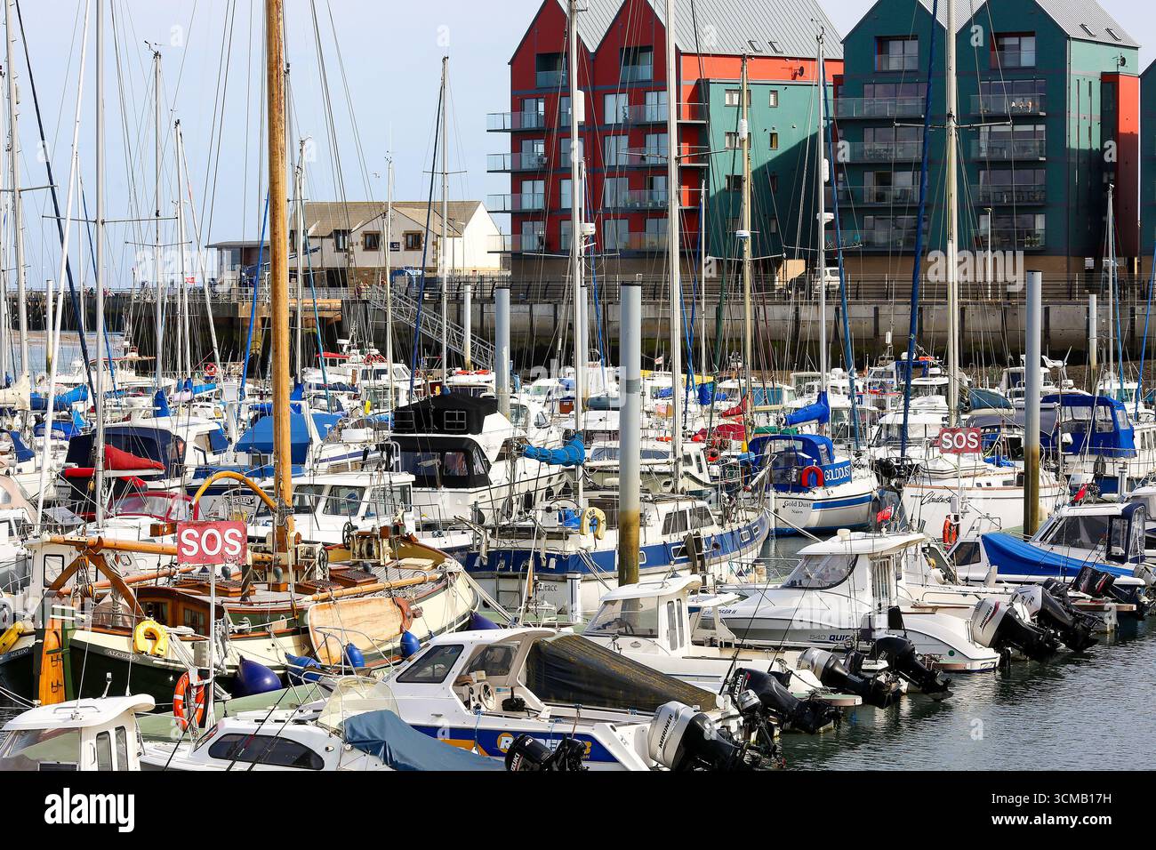 Amble Marina, Northumberland. Inghilterra nord-orientale Foto Stock
