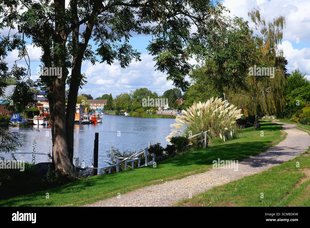 Il Tamigi e il lungofiume a Laleham in una giornata di sole estati Staines Surrey Inghilterra Regno Unito Foto Stock