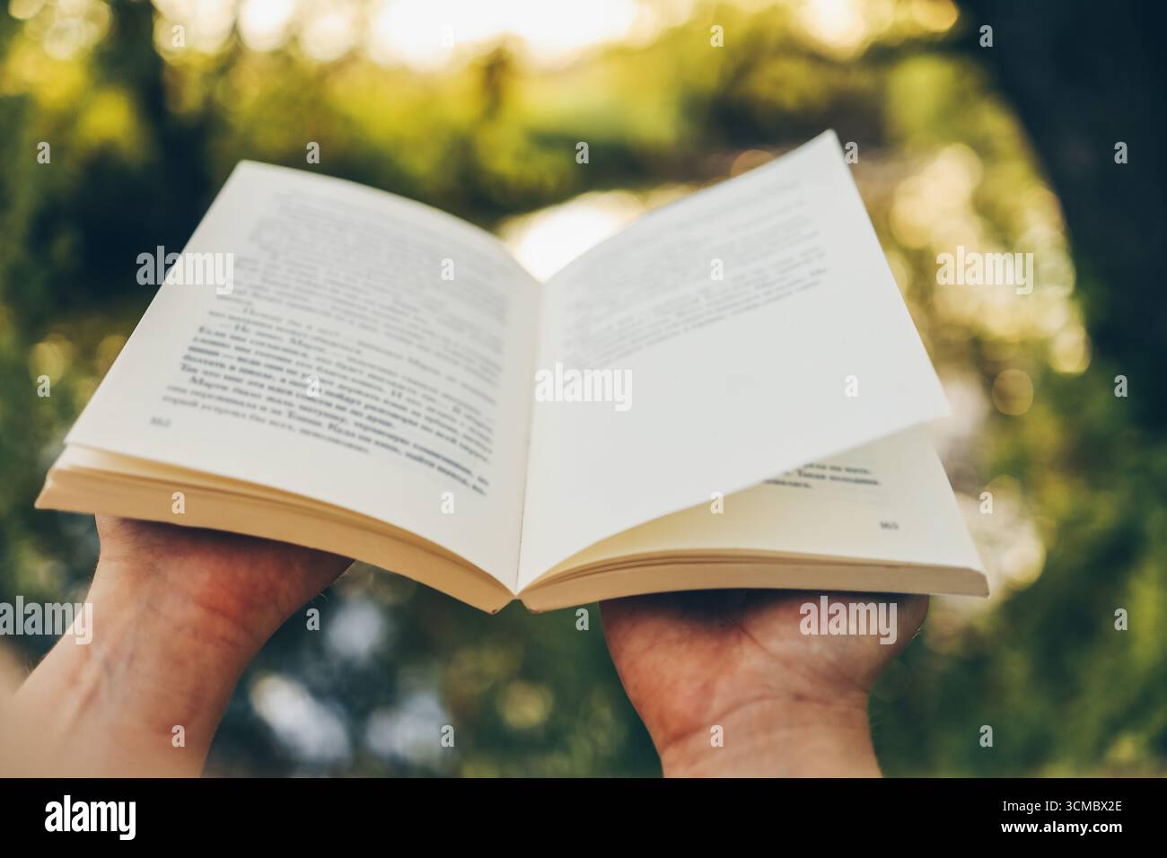 Apri libro sullo sfondo del tramonto. Leggere, studiare, andare a scuola. Leggete un libro all'aperto. Foto Stock