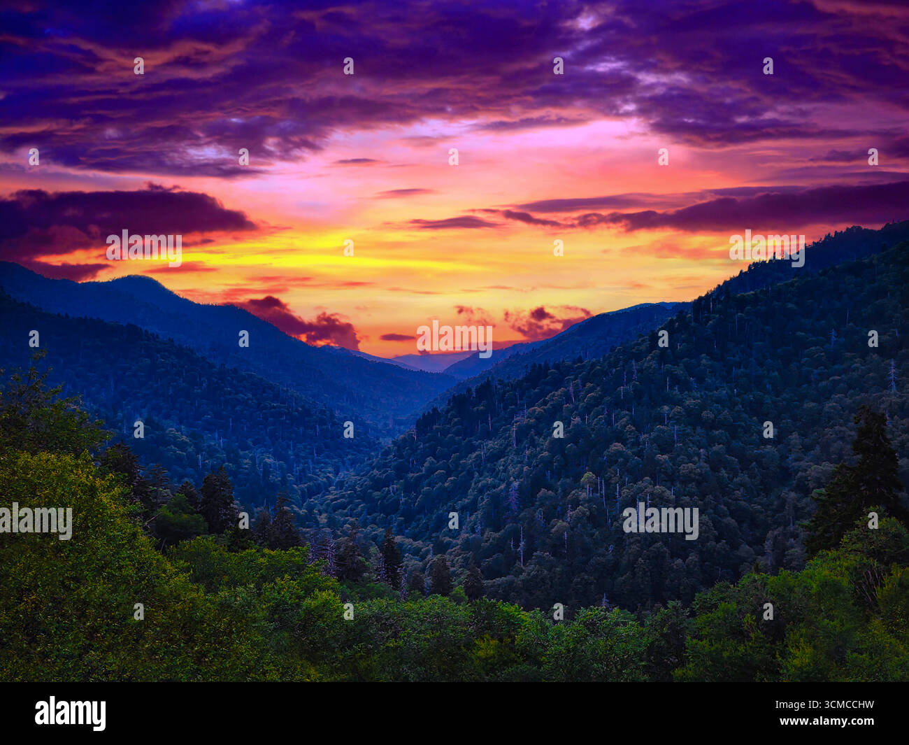 Parco nazionale delle Great Smoky Mountains al tramonto; creste azzurre, valli a strati e luce dorata sulle antiche foreste. Illustrazione Vettoriale