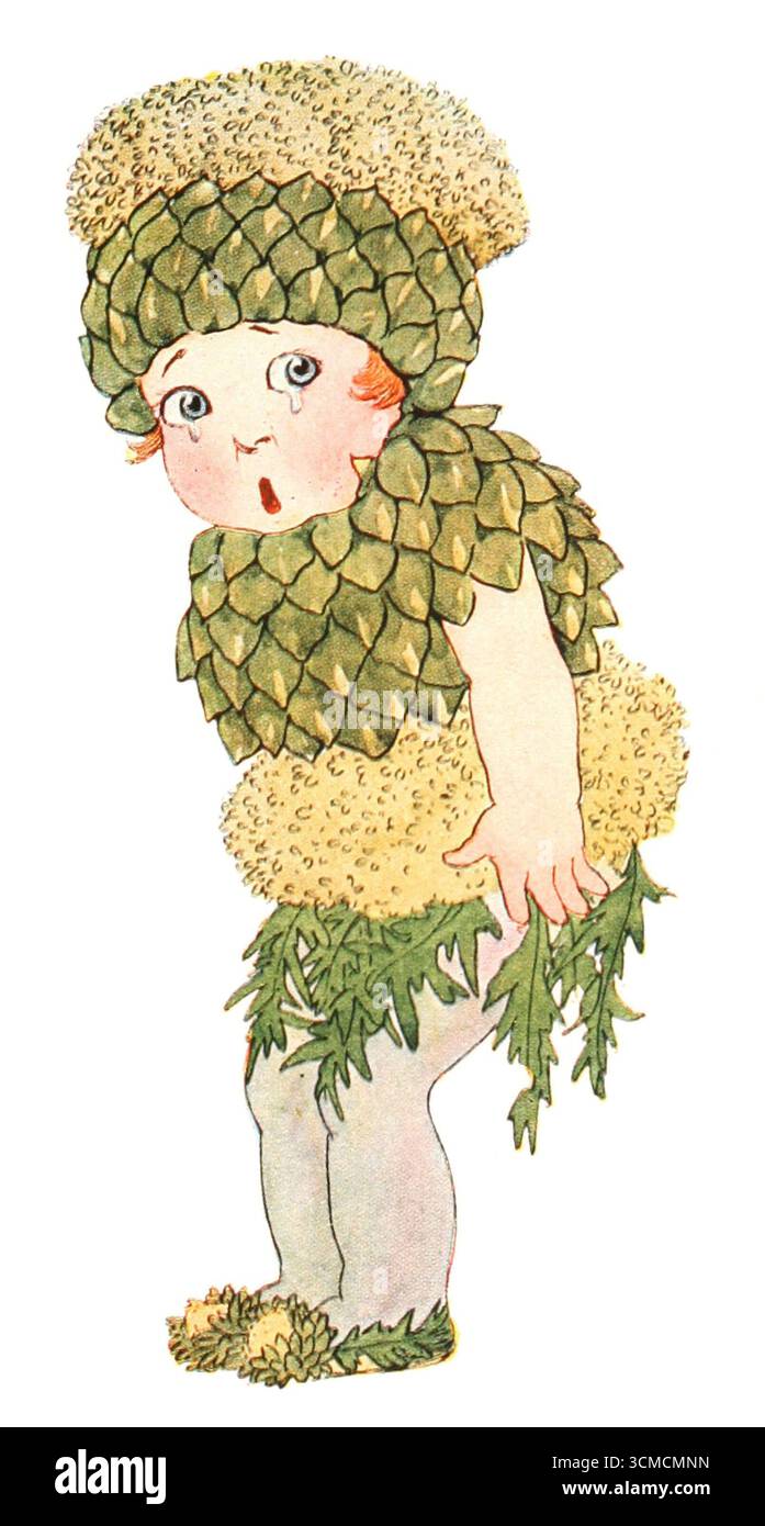 Illustrazione vintage del carciofo dei figli di madre Terra: I gelati della frutta e della verdura di Marion T. Ross. Pubblicato nel 1914. Foto Stock