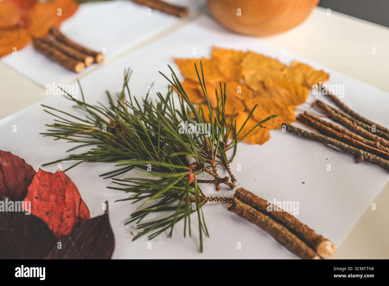 Attività creative per bambini, idea autunnale. Foto Stock