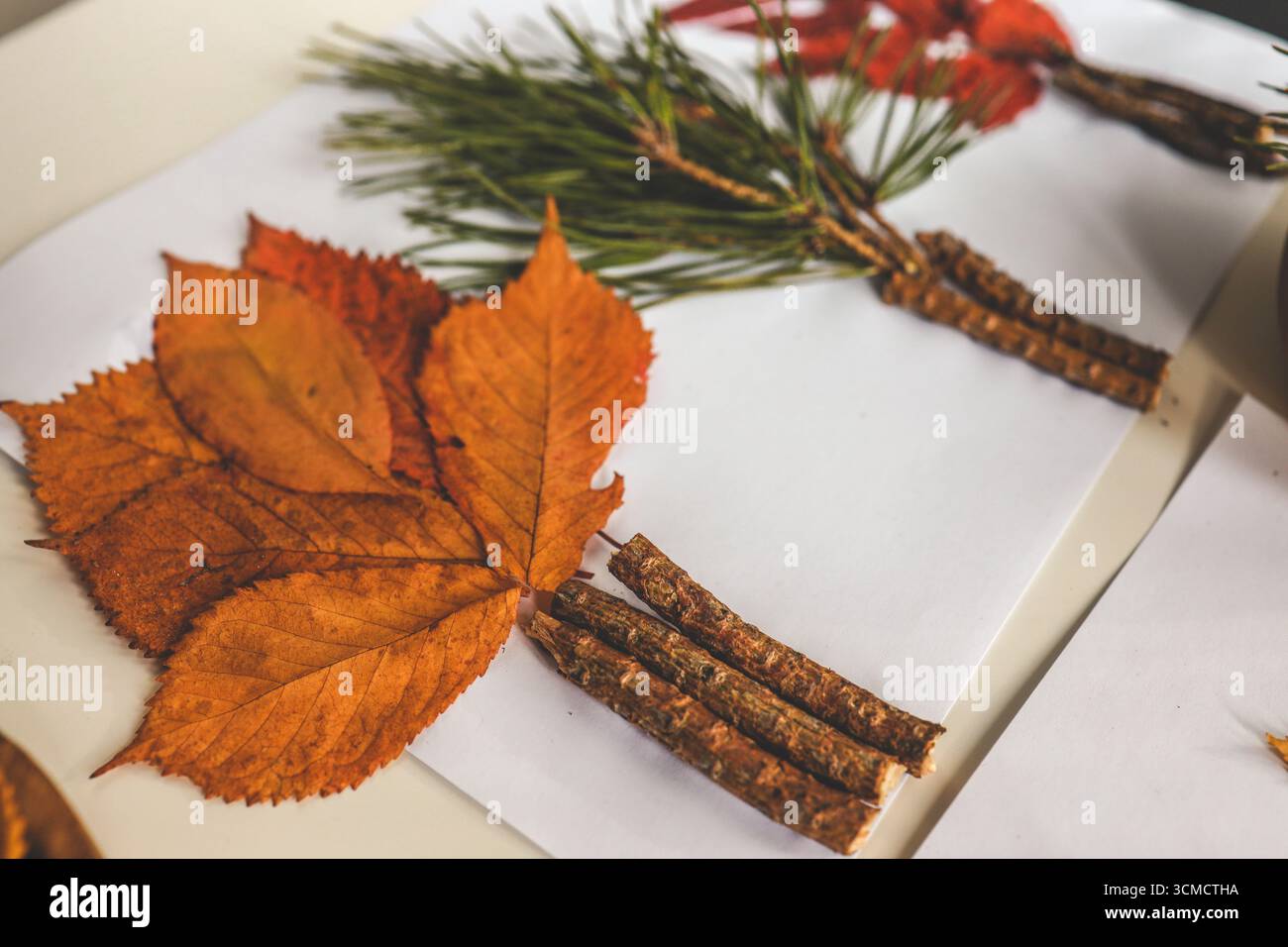 Attività creative per bambini, idea autunnale. Foto Stock