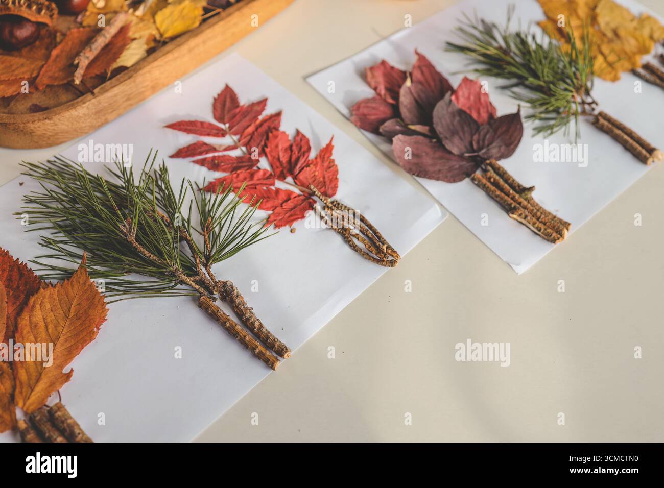 Attività creative per bambini, idea autunnale. Foto Stock