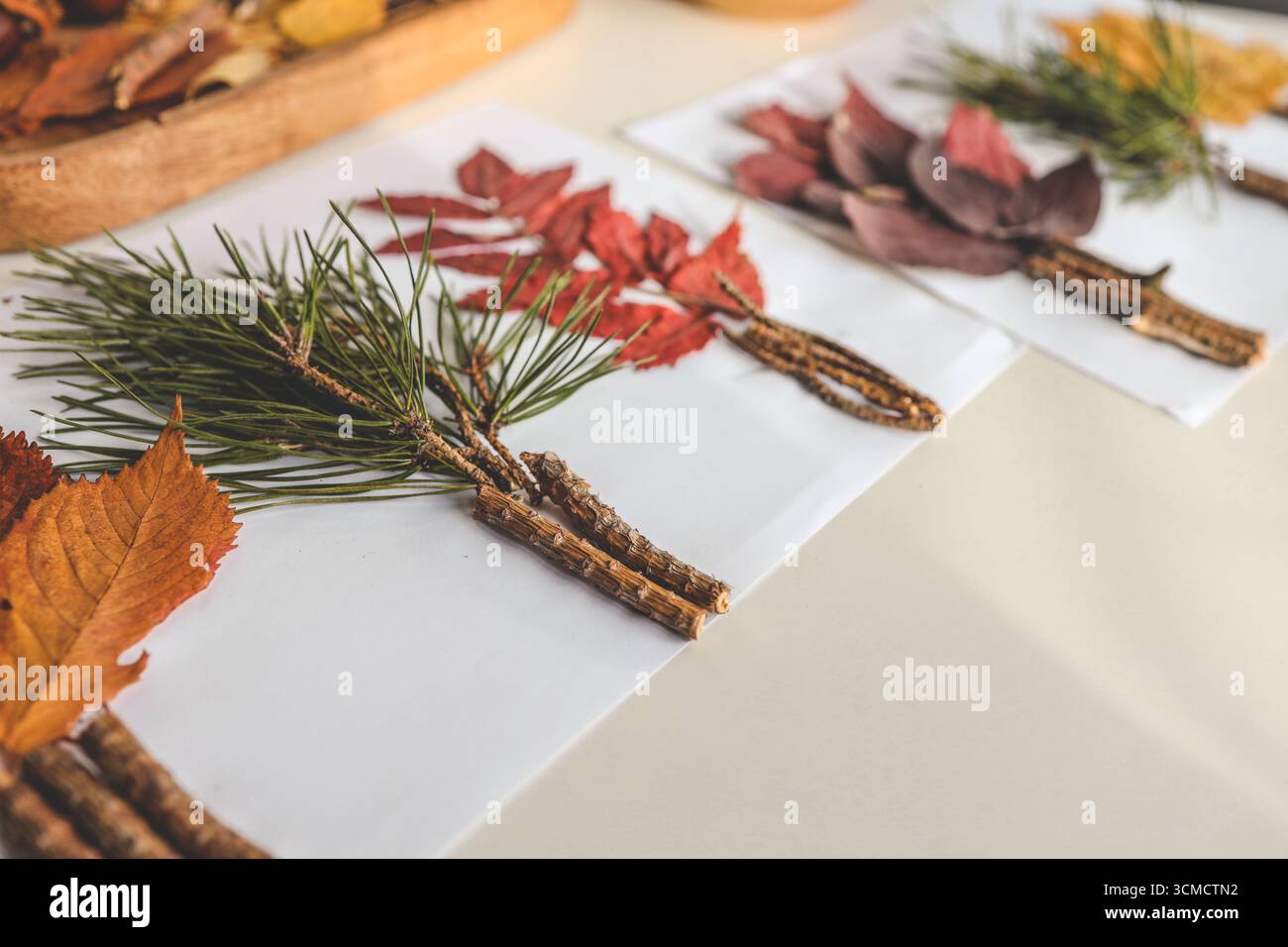 Attività creative per bambini, idea autunnale. Foto Stock