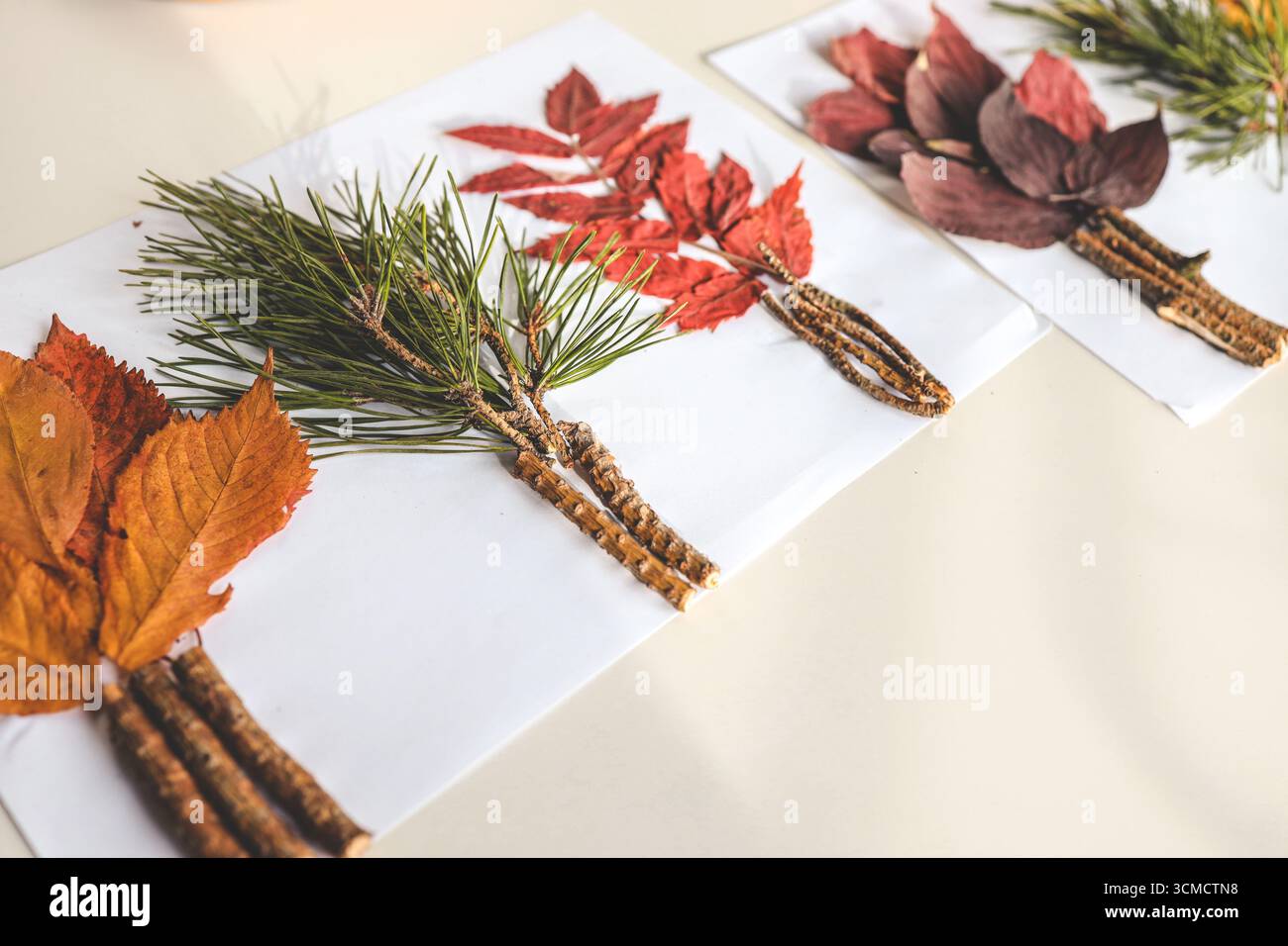 Attività creative per bambini, idea autunnale. Foto Stock