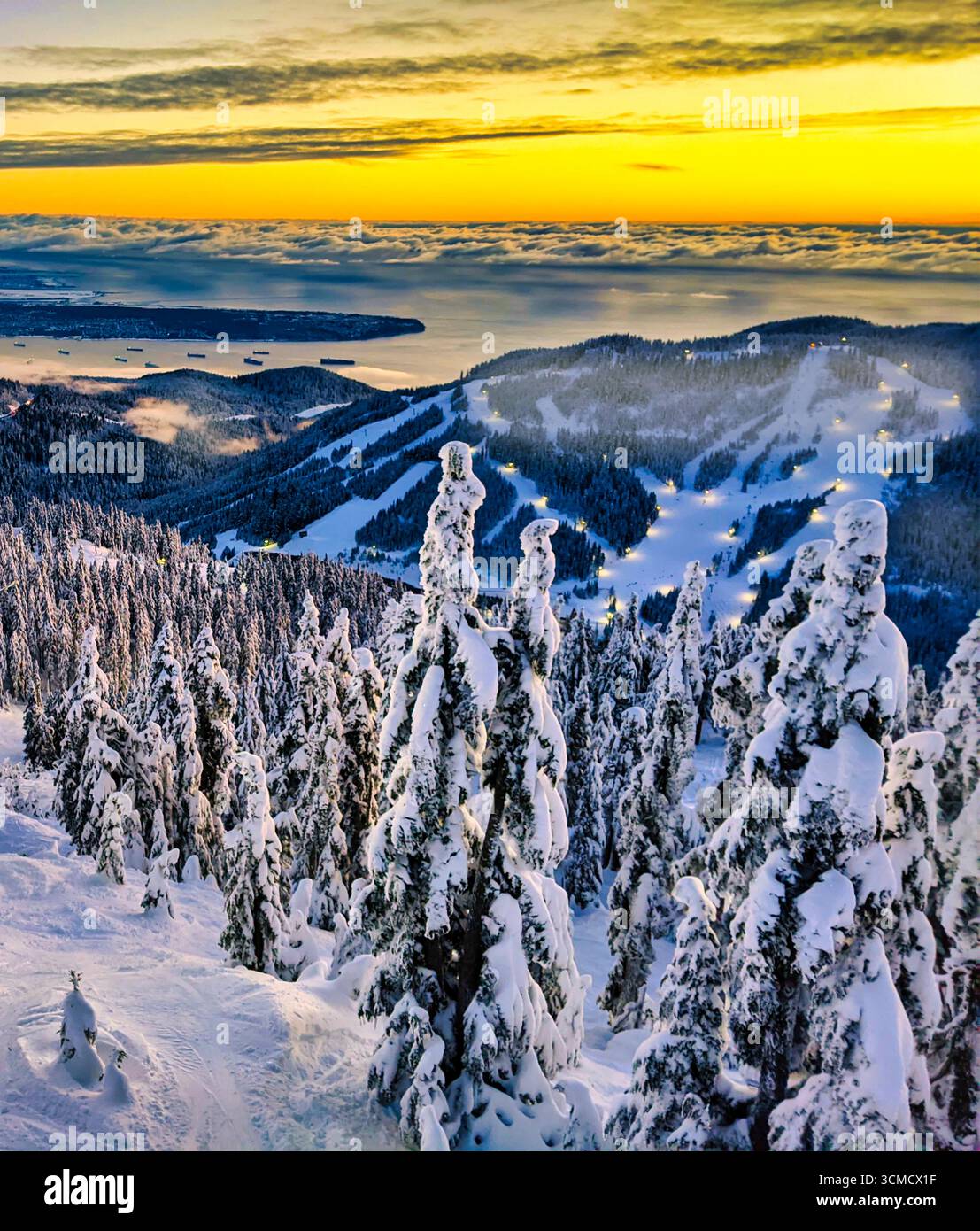 Vista panoramica delle foreste ghiacciate a Natale nella Columbia Britannica, Canada; sempreverdi innevati, surgelati e soffici bagliori blu. Illustrazione Vettoriale