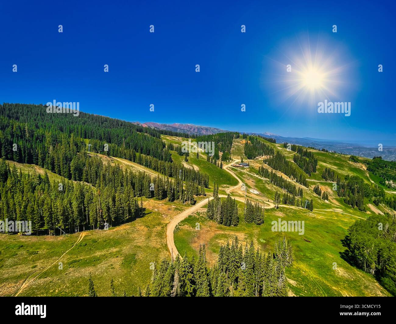 Vista panoramica delle lussureggianti foreste estive, baldacchino soleggiato, colline ondulate e una tranquilla foschia della valle. Illustrazione Vettoriale