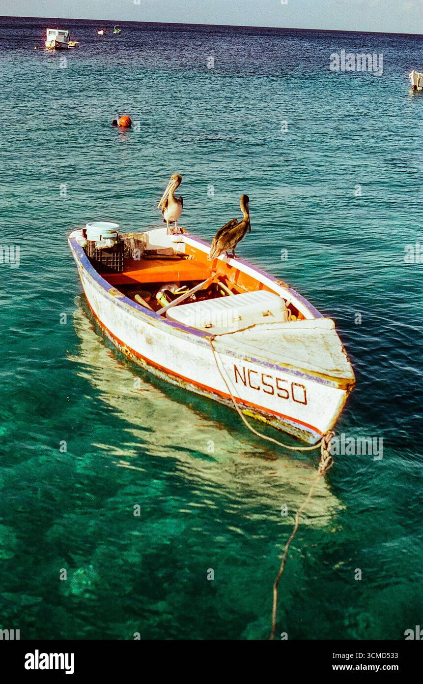 Pellicani che riposano su una barca da pesca in paradiso Foto Stock Pellicani che riposano su una barca da pesca in paradiso Foto Stock