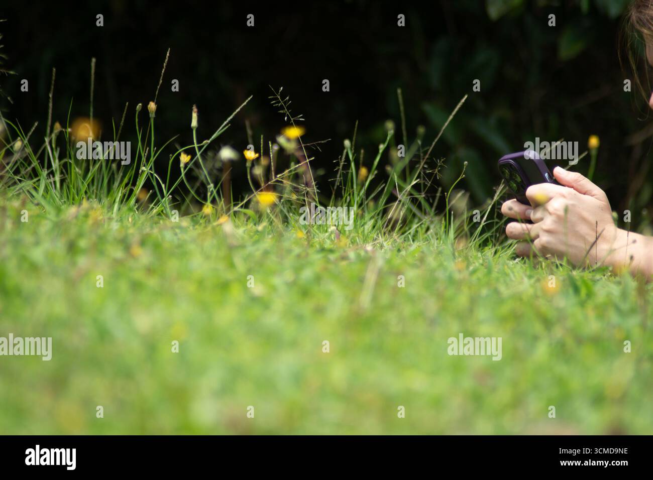 Persona seduta su erba con fotocamera Foto Stock