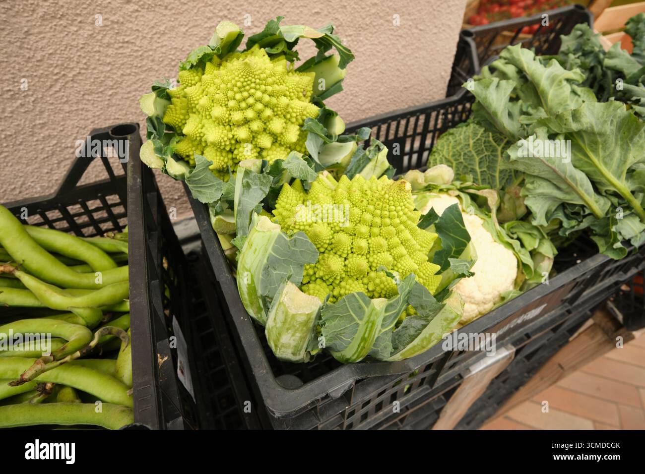 Broccoli Romanesco a testa fresca e verde in un mercato di prodotti locali, alimentari. Nel centro storico di Finalborgo in Liguria, Italia. Foto Stock