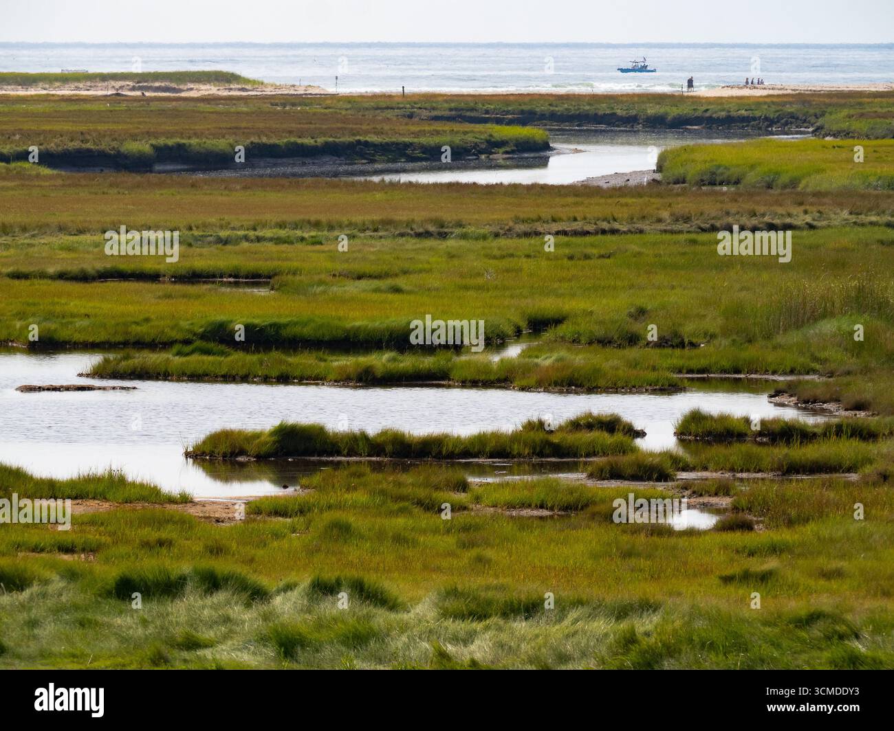 Fotografia impressionistica di Little River e palude nella Rachel Carson National Wildlife Reserve nel Maine. L'Oceano Atlantico con una barca. Foto Stock