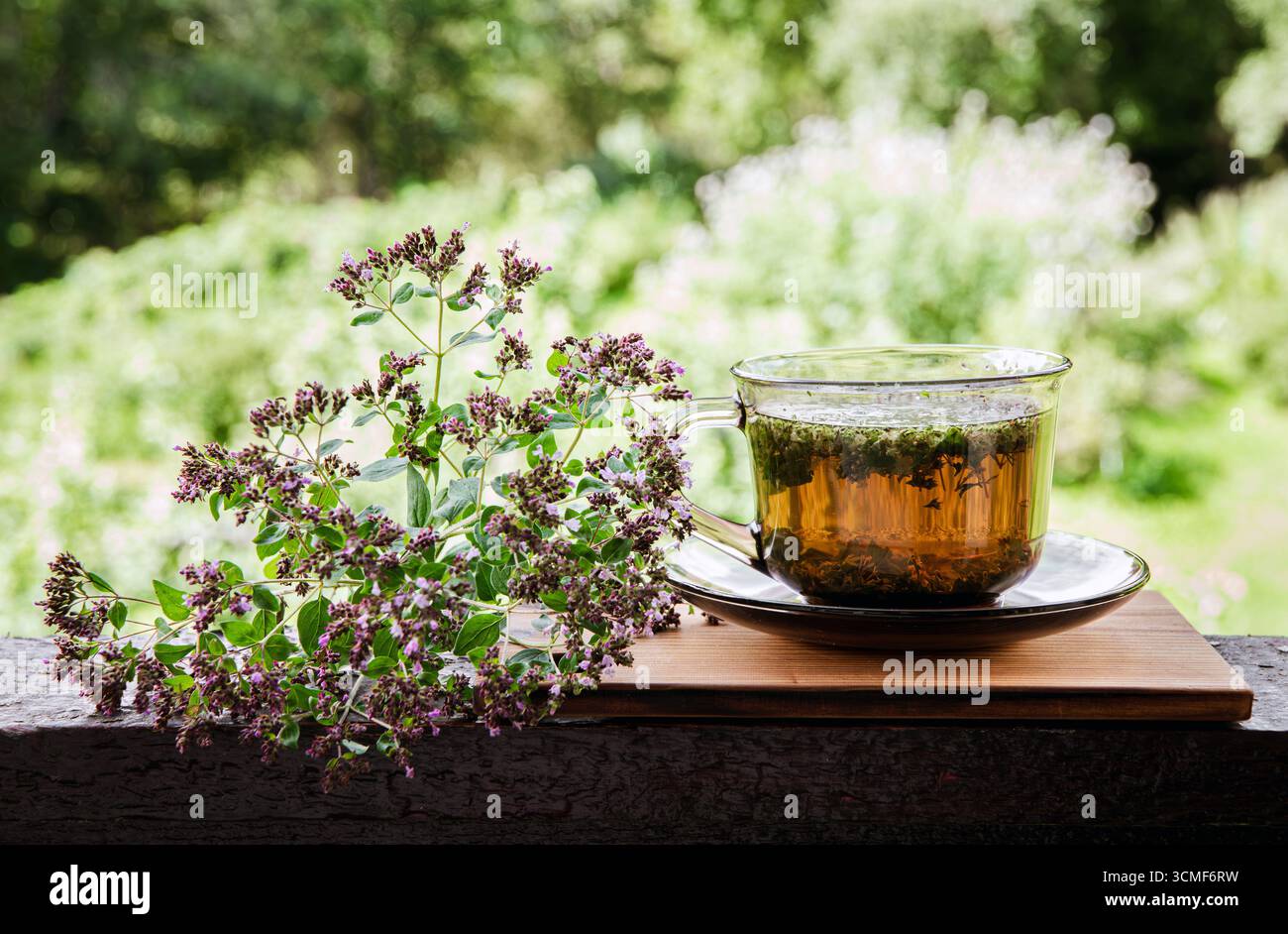 Origano fatto in casa, tè alle erbe all'Origanum vulgare in una tazza di tè di vetro. Bevanda calda fumante con fiori freschi di origano in fiore, tavola di legno e natura Foto Stock