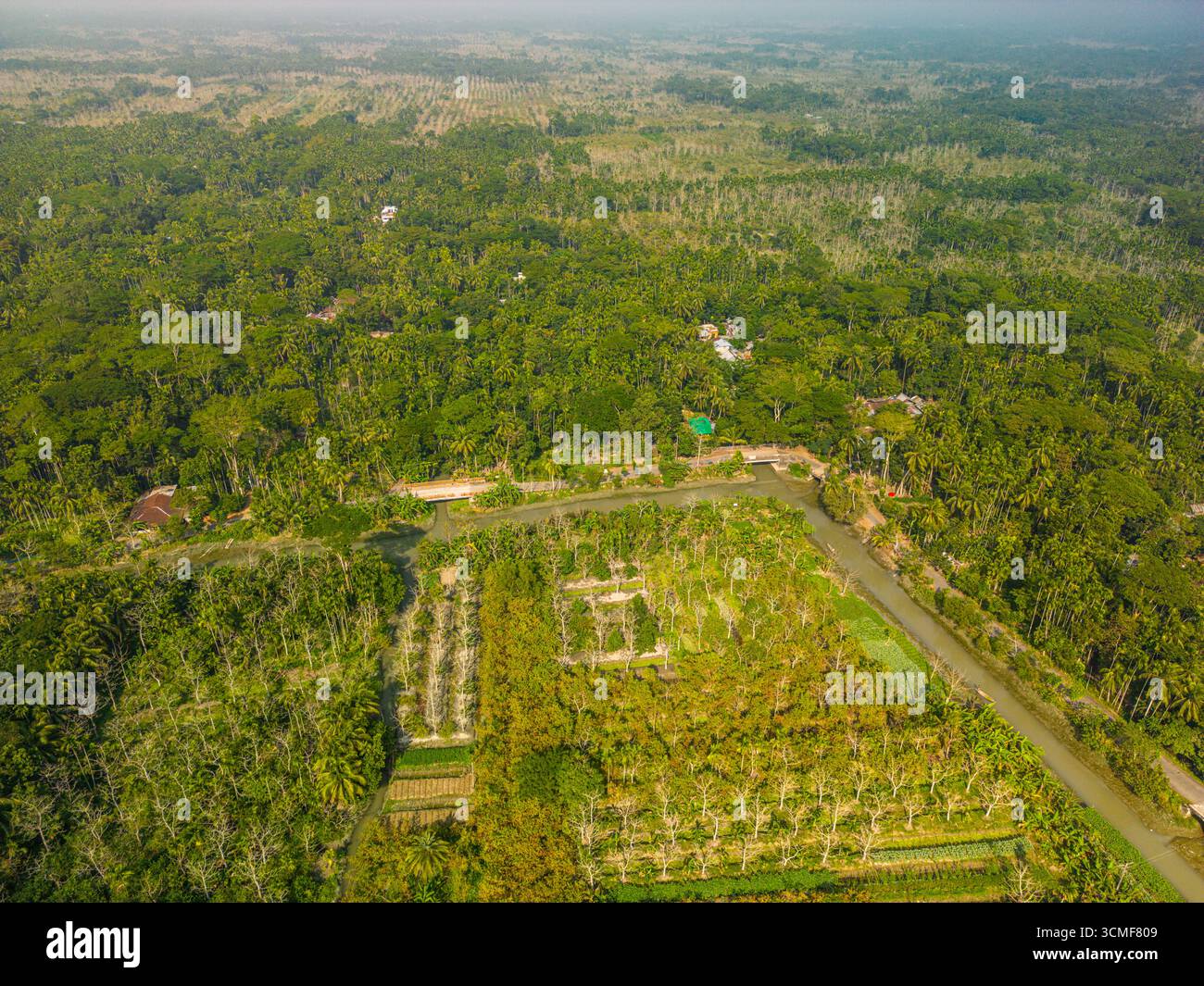 In questa foto aerea di Jhalakathi, Barisal, la bellezza rustica del Bangladesh si snoda tra campi coltivati e foreste selvagge. Foto Stock