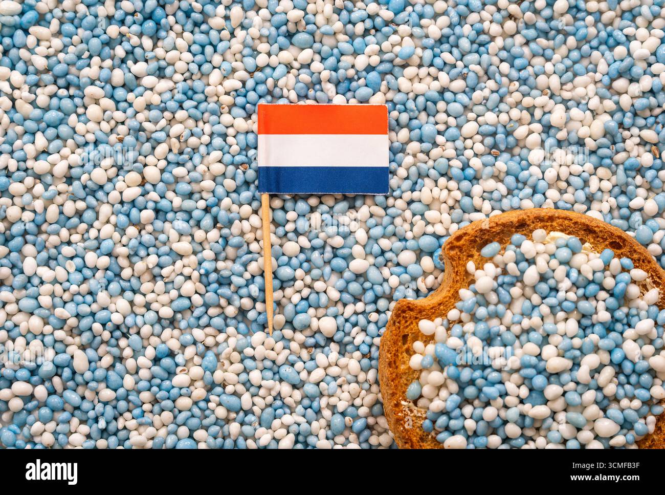 Beschuit incontrò muisjes e bandiera olandese, tradizionale dolcetto olandese mangiato per celebrare la nascita di un bambino Foto Stock