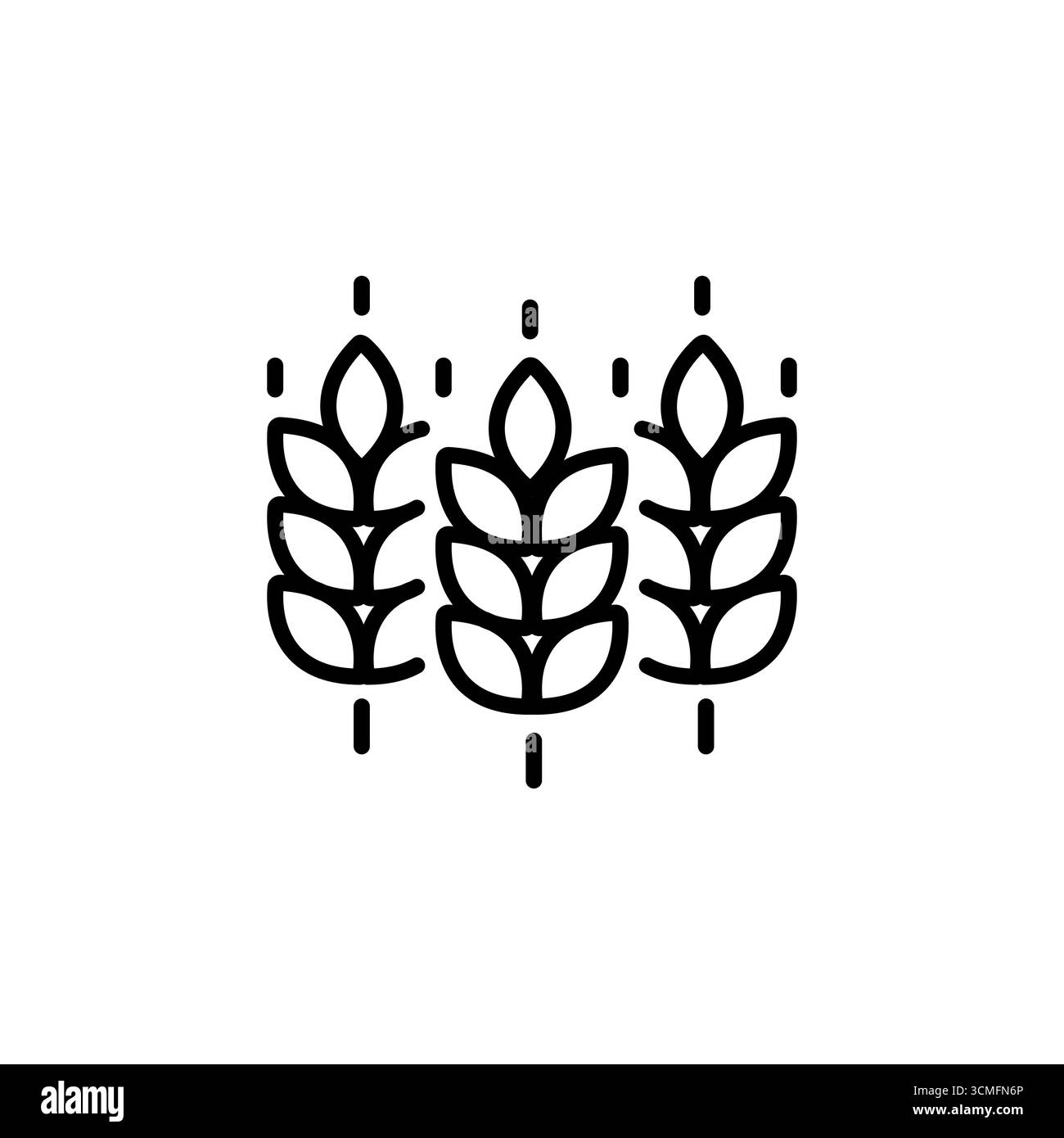 Icona del grano o simbolo del grano. Orzo o orzo. Concetto del logo Bakery, Pane o Agricoltura. Segno di venatura della linea. Illustrazione vettoriale. Vettore Illustrazione Vettoriale