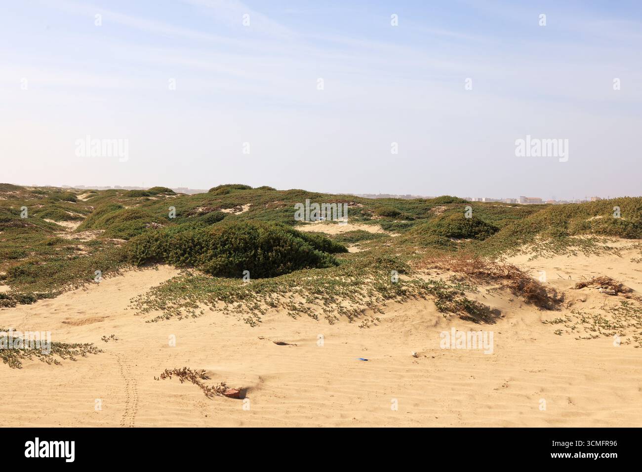 La famosa spiaggia di aquiloni a Sal Island, Capo Verde, Africa. Foto Stock