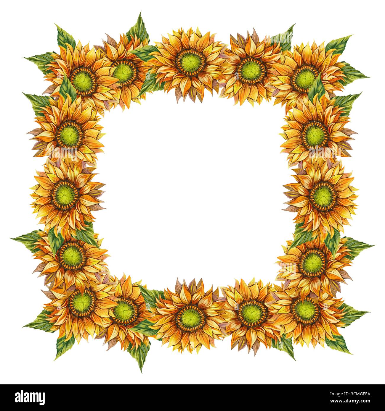 Cornice quadrata di girasole in stile acquerello, luminosa e allegra. Perfetto per biglietti d'auguri, inviti, poster, imballaggi Foto Stock