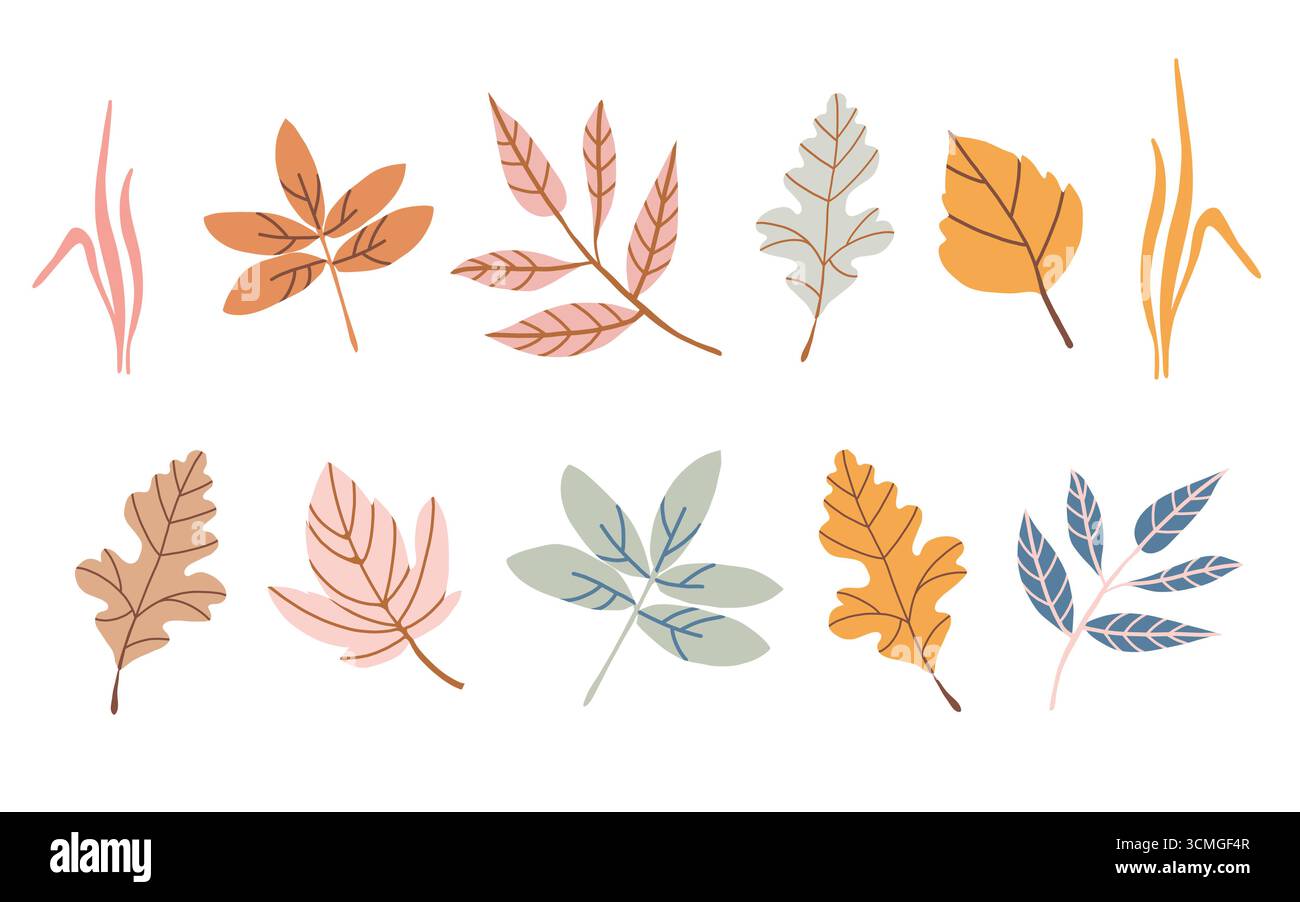 Collezione di foglie autunnali. Elementi di design di stagione. Foglie cadute disegnate a mano isolate su sfondo bianco. Set con illustrazioni fogliame. Illustrazione vettoriale nei toni rosa pastello, giallo e marrone. Illustrazione Vettoriale