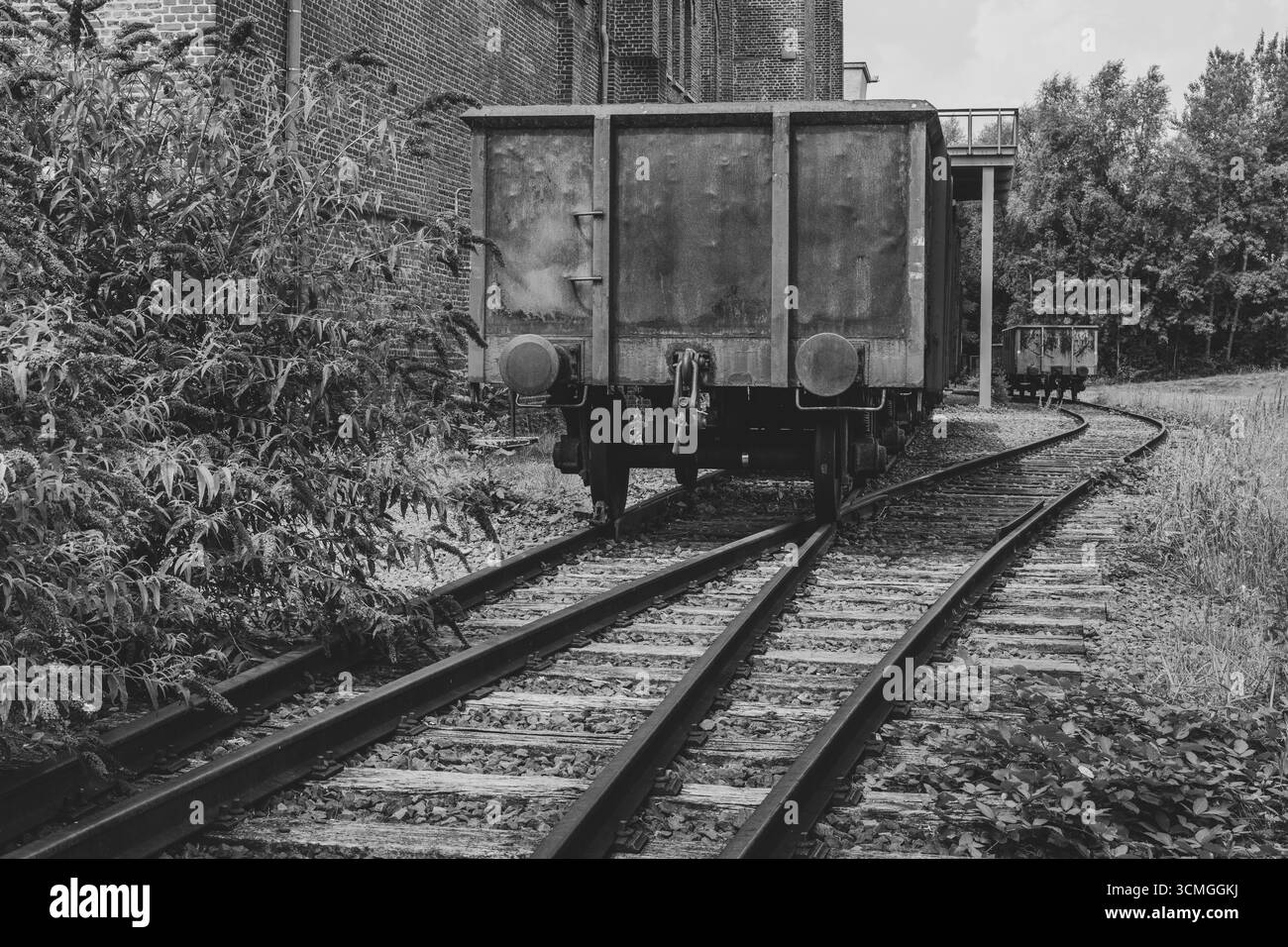 Lillette estive in fiore accanto a una carrozza ferroviaria, bianco e nero, Museo LWL, ex miniera, miniera di carbone di Hannover, patrimonio industriale, Bochum, regione della Ruhr Foto Stock