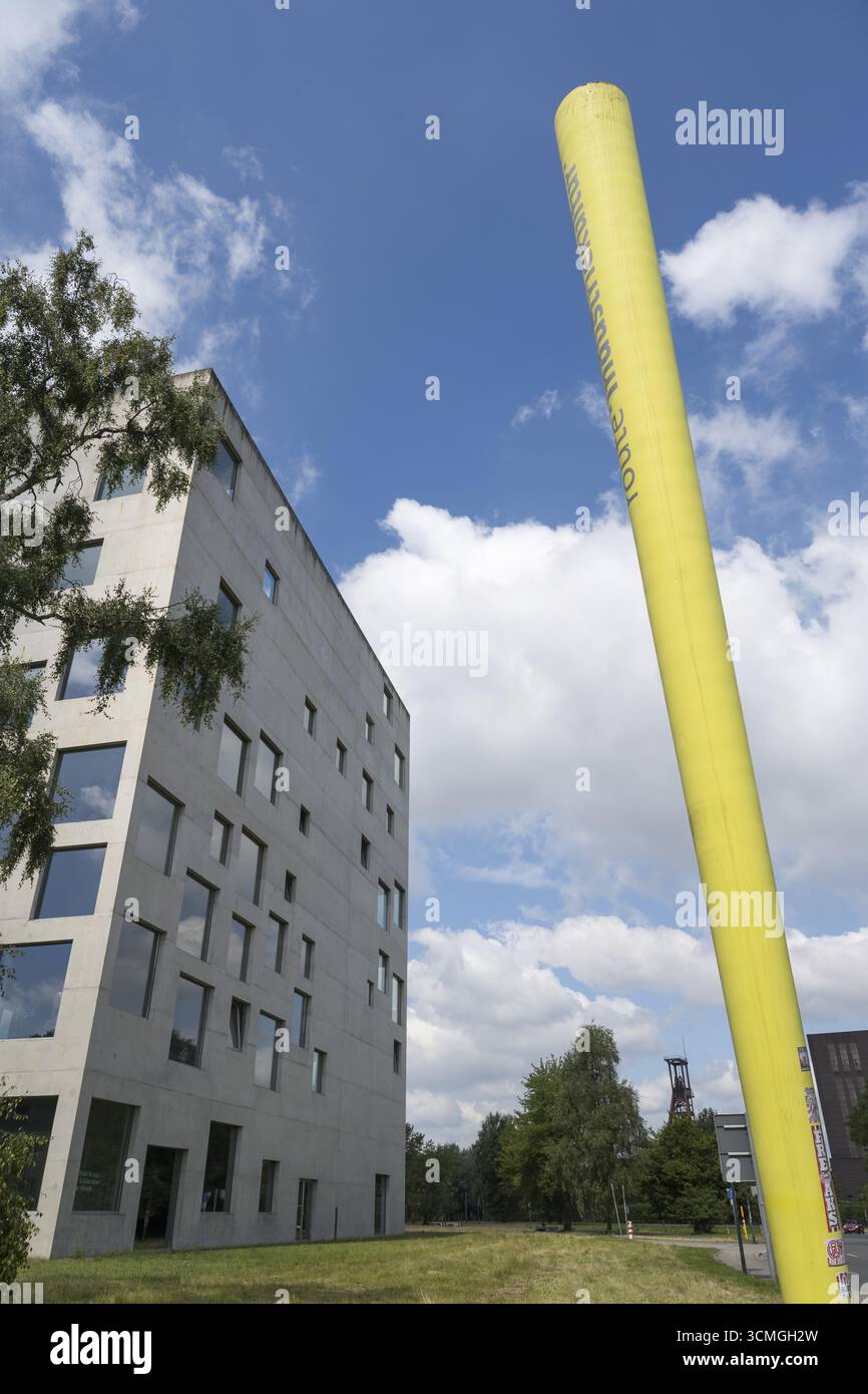 Edificio SANAA, Università delle Arti Folkwang, Quadrat, Zeche Zollverein, Essen, Ruhr area, Renania settentrionale-Vestfalia, Germania Foto Stock