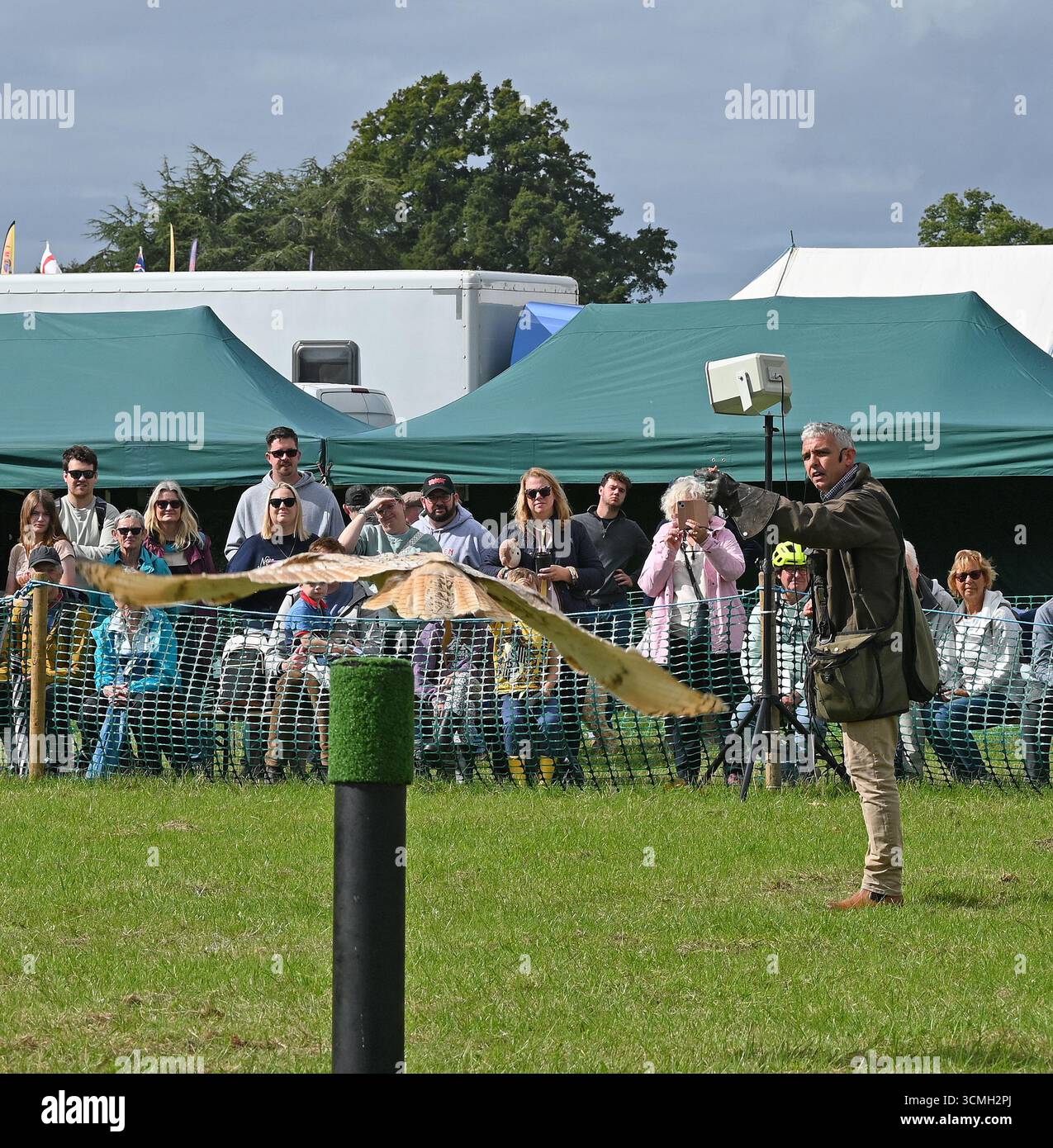 romsey mostra falconeria mostra gufo Foto Stock