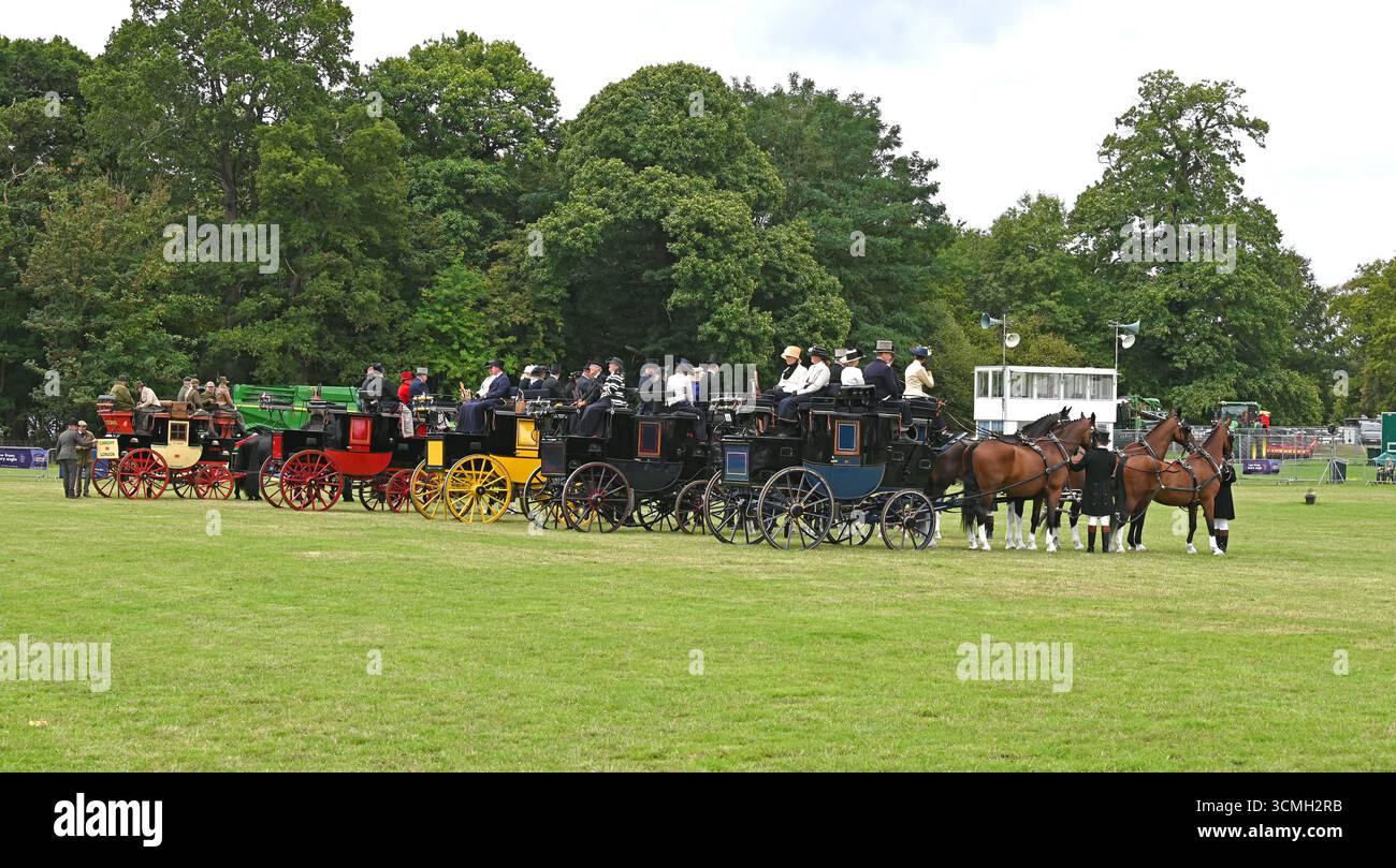 Mostra Romsey mostra mostra cavalli e carrozze Foto Stock