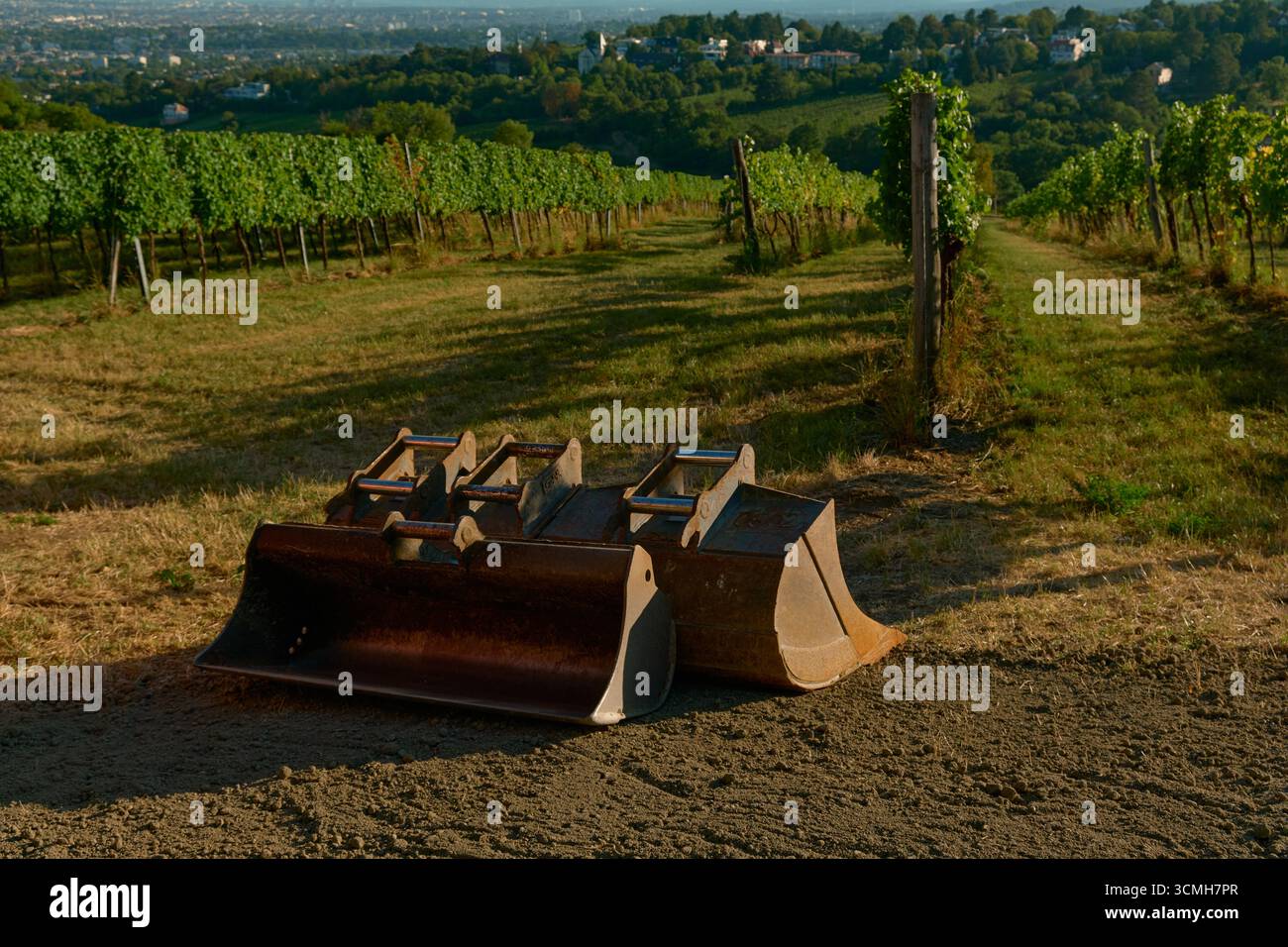 Foto delle benne dell'escavatore che si trovano a terra tra filari di vigneti sotto la luce calda del sole. Mette in evidenza macchinari agricoli, lavori all'aperto e passaggi panoramici Foto Stock