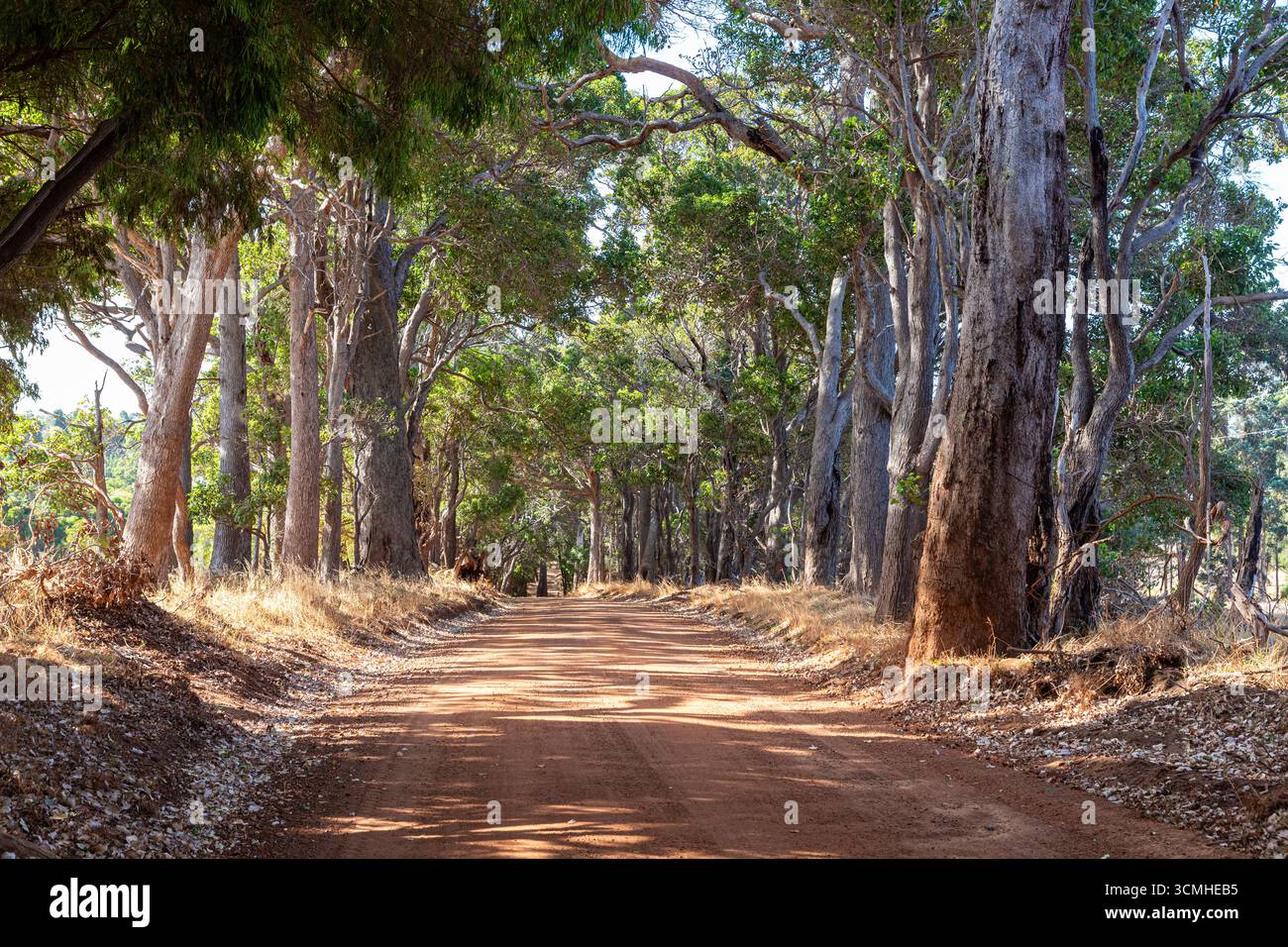 Una strada sterrata di ghiaia rossa a Witchcliffe, Margaret River, Contea di Augusta nella regione SW dell'Australia Occidentale WA Foto Stock