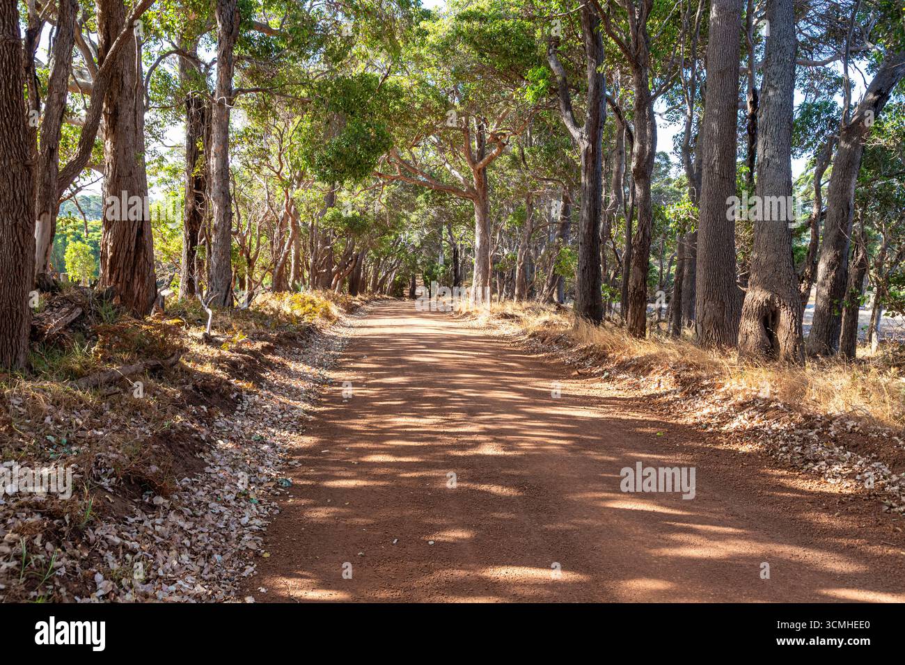 Una strada sterrata di ghiaia rossa a Witchcliffe, Margaret River, Contea di Augusta nella regione SW dell'Australia Occidentale WA Foto Stock