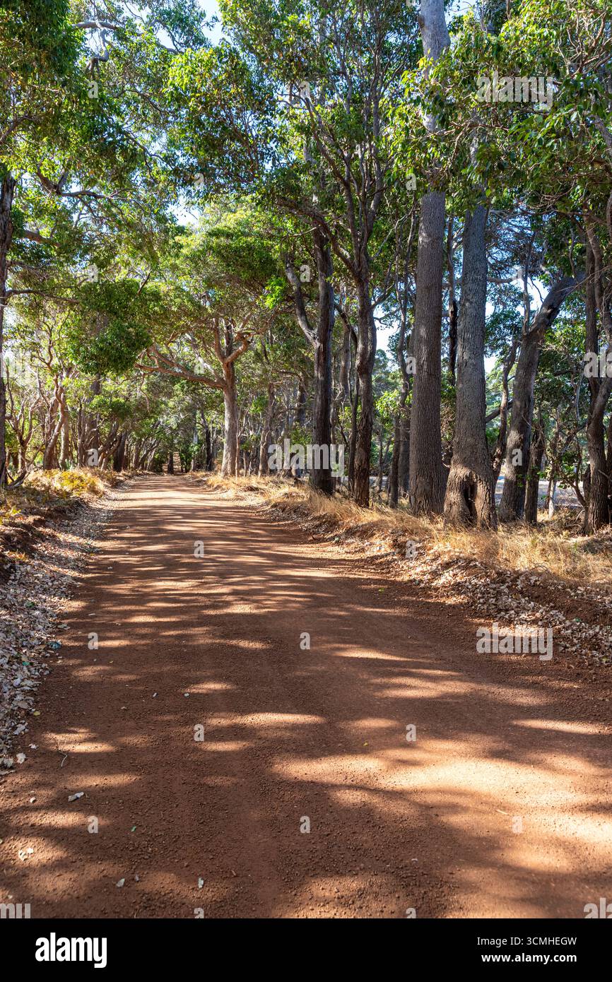 Una strada sterrata di ghiaia rossa a Witchcliffe, Margaret River, Contea di Augusta nella regione SW dell'Australia Occidentale WA Foto Stock