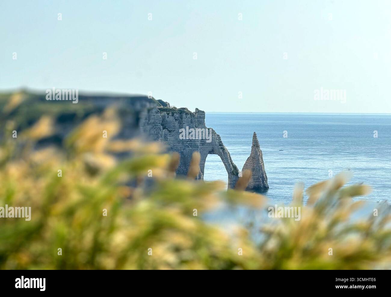 Vista delle scogliere di Etretat. Canale della Manica Foto Stock